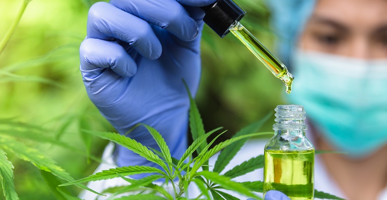 Scientist squeezing a dropper of cannabis oil into a bottle surrounded by marijuana plants