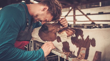 Canadian agri-food industry