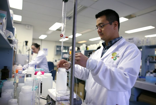 Man working in laboratory