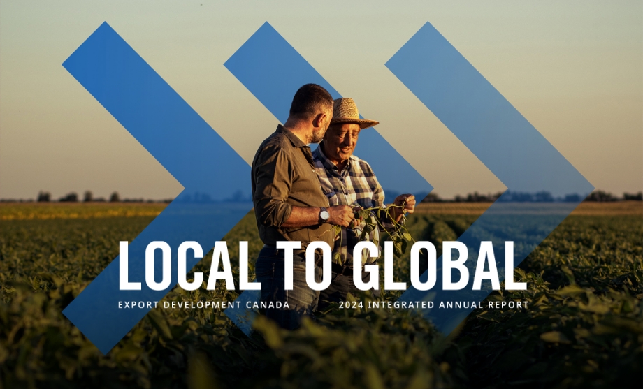 Agricultural professionals discussing crops in a lush field at sunset, symbolizing growth and progress with forward-moving blue arrows
