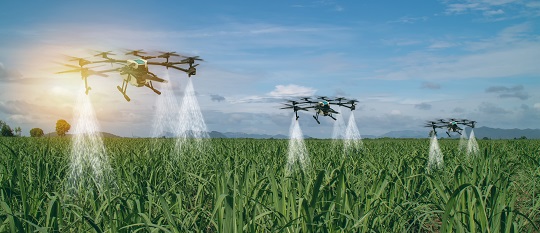 Des drones utilisés en agriculture de précision arrosent les champs et pulvérisent de l’engrais.