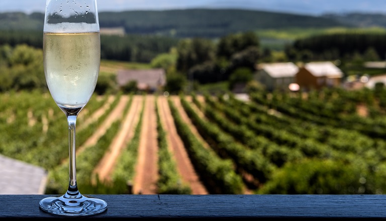 Chilled glass of ice wine with vineyard in background.