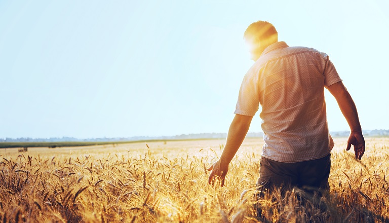 Silhouette d’un agriculteur dans un champ de blé doré.