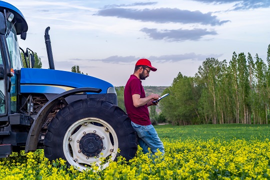 Un agriculteur utilisant une table près d’un tracteur dans un champ de canola.