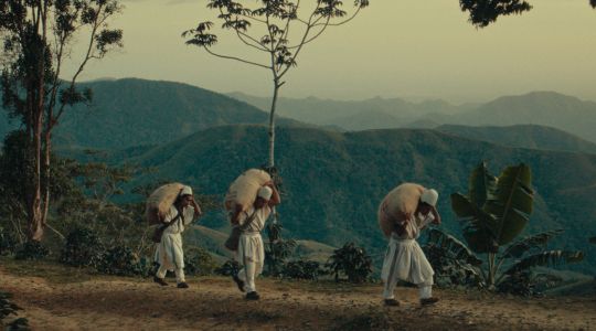 Three individuals carrying coffee bean sacks with trees and mountains in the background.