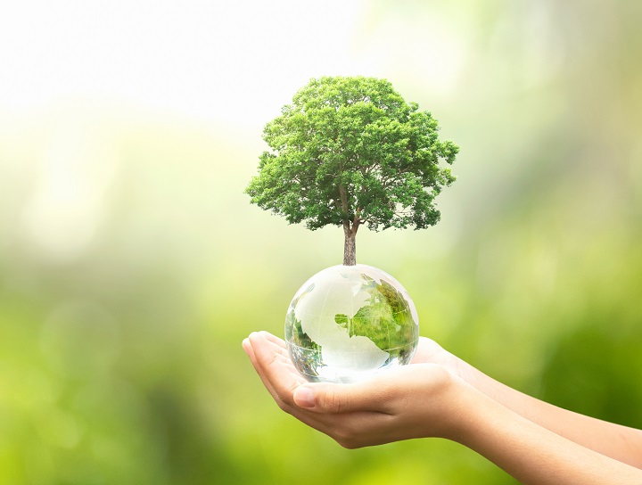 hand holding glass globe ball with tree growing