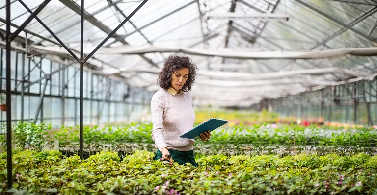Woman holding tablet in a greenhouse filled with plants.
