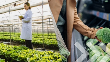 Split-screen image of a female agronomist working in a greenhouse using a digital tablet (left) and a woman shopping for fresh organic fruits and vegetables in a supermarket (right).