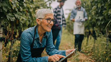 Image of older women with tablet at an orchard representing sustainable responsible business and the environment.