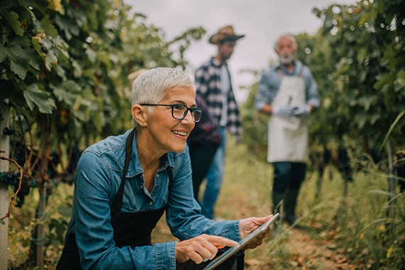 Image de femmes d’âge mûr tenant une tablette dans un verger, ce qui représente une entreprise durable et responsable et l’environnement.