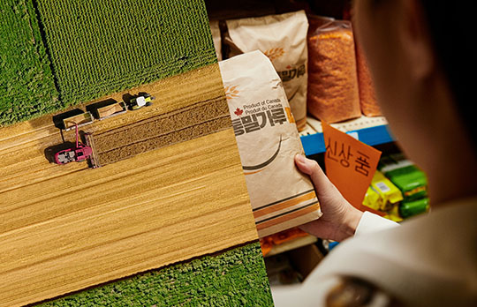Split-screen image of an overhead shot of a tractor cultivating a wheat field (left) and a woman at a grocery store holding a wheat product in her hand (right).