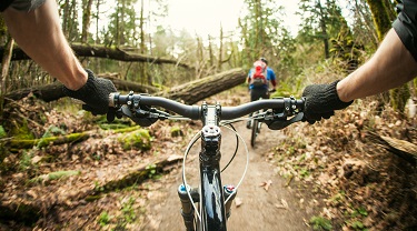 Mountain biker navigates narrow, bumpy path.