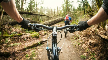Mountain biker navigates narrow, bumpy path.