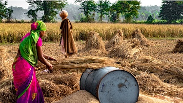 Image de femmes qui travaillent dans un champ