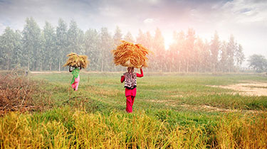 Image of two workers in a field representing human rights as part of ESG at EDC.