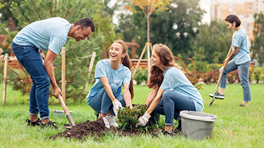 Image de bénévoles qui jardinent et qui plantent des arbres.