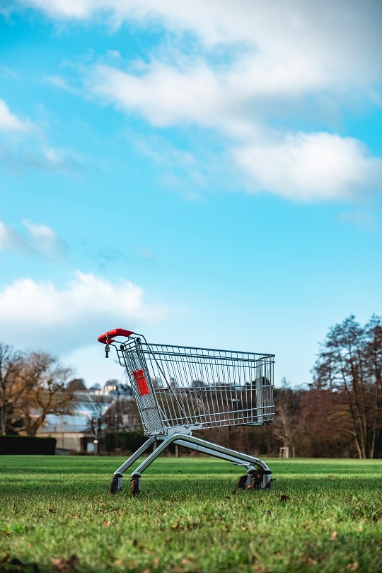 A lone shopping cart