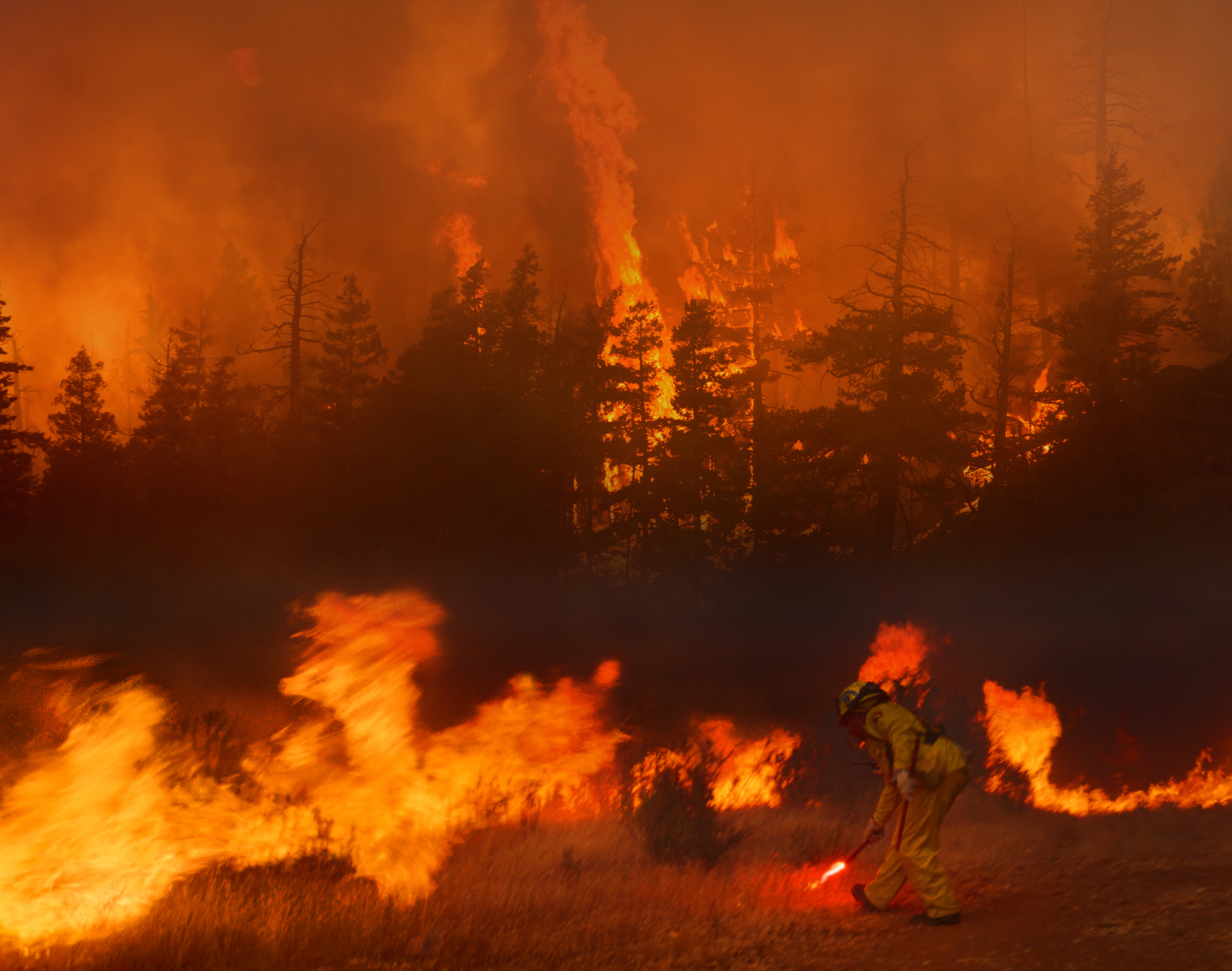 A firefighter in Cache Creek, B.C., sets a backfire to combat a raging forest blaze.