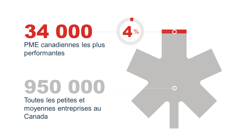 top-performing SMEs