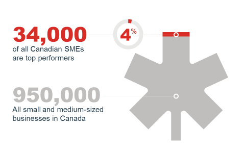 top-performing SMEs