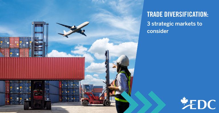 Trade diversification: 3 strategic markets to explore