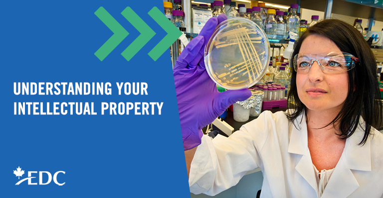 Understanding Your Intellectual Property Edc Understanding Your Intellectual Property Edc