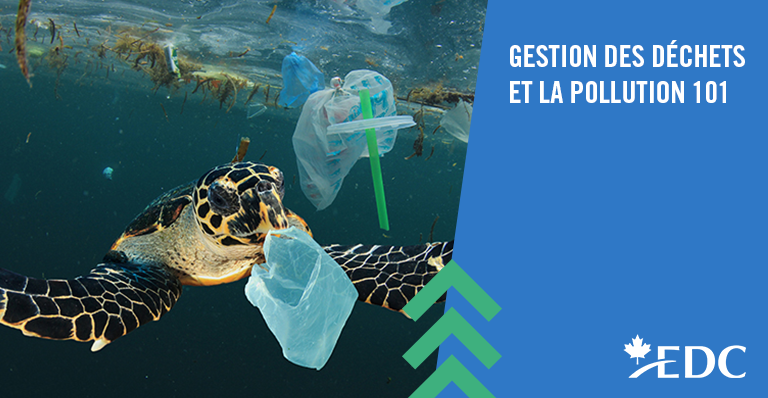 Gestion des déchets et pollution 101 | EDC