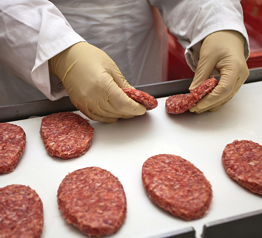 Gloved hands of a quality assurance employee holding raw hamburger patties