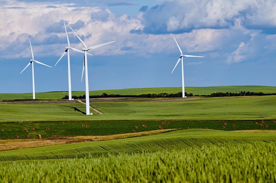 Field of windmills
