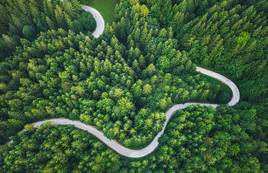 Image d'une forêt verte traversée par une route, ce qui représente l'importance de la durabilité, y compris les défis à relever et les possibilités de croissance et d'innovation.