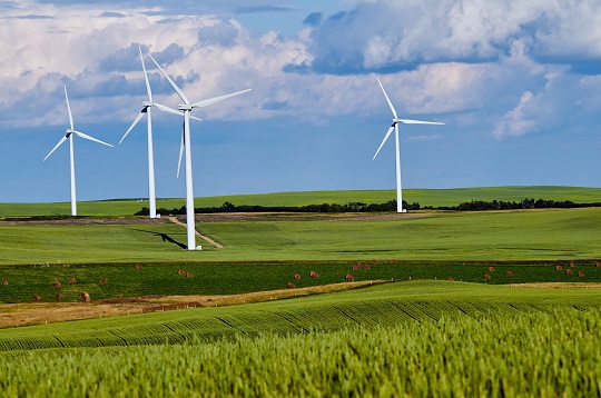 champ d’eoliennes